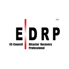 Disaster Recovery Professional Practice Test
